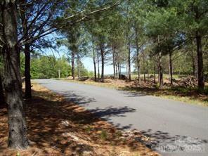 Lower Lot - 1552 Bear Cliff Drive, Nebo
