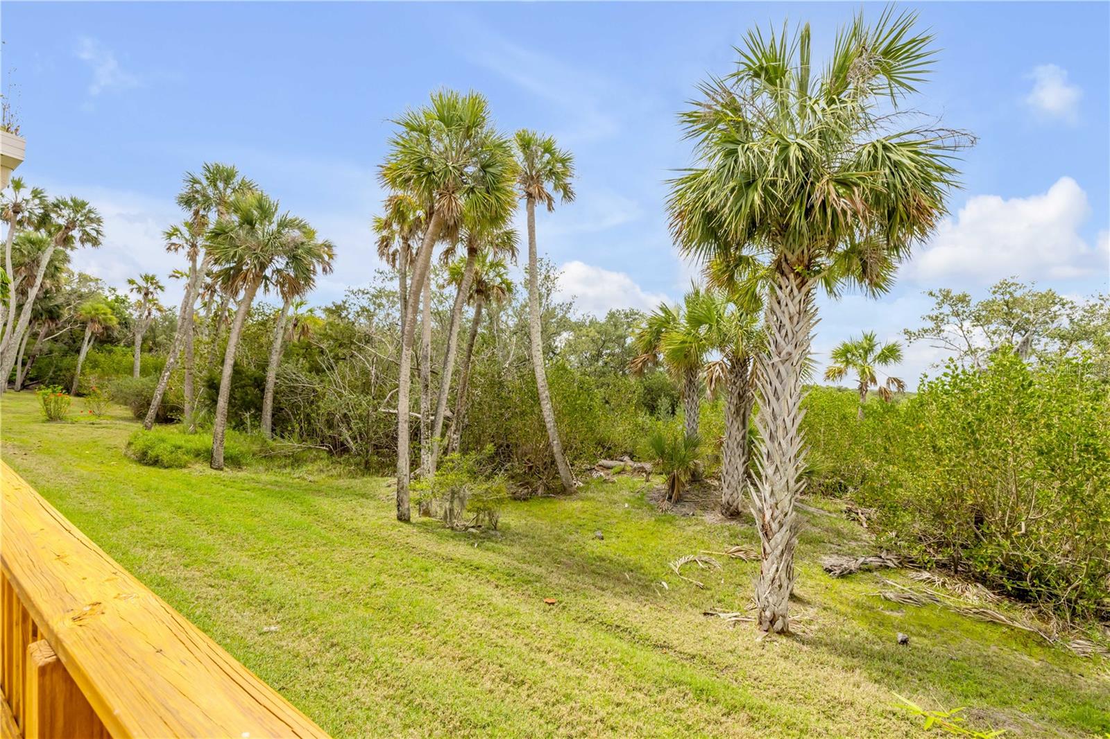 Single Family Residence at 1804 SAXON DR, NEW SMYRNA BEACH, photo 51 of 73