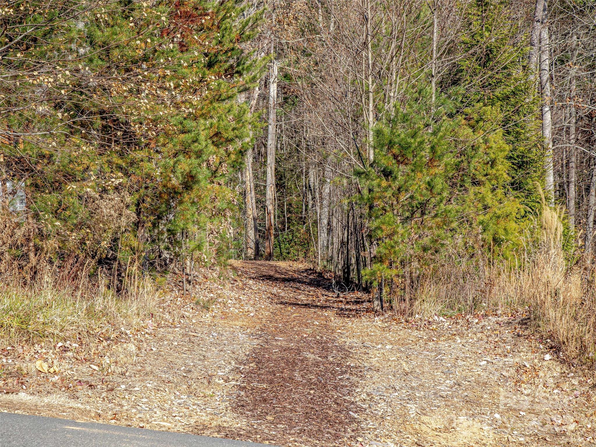 Lot at 36 Slide Rock Way, Fairview, photo 2 of 24
