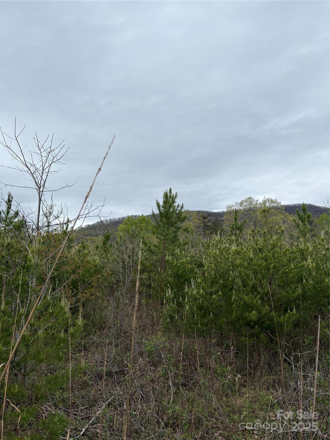Acreage at 0 Rose Hollow Drive, Mill Spring