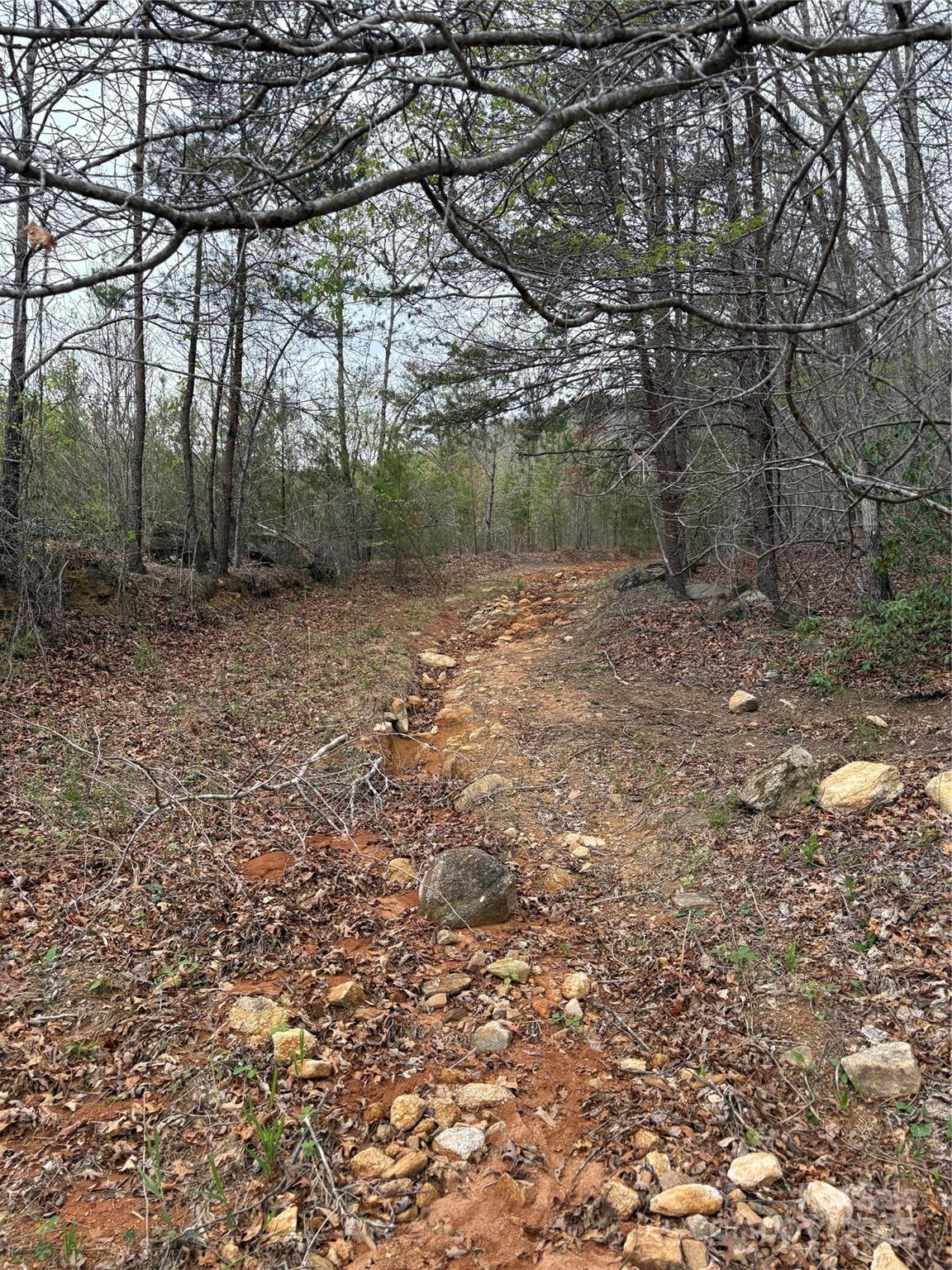 Acreage at 0 Rose Hollow Drive, Mill Spring, photo 4 of 8