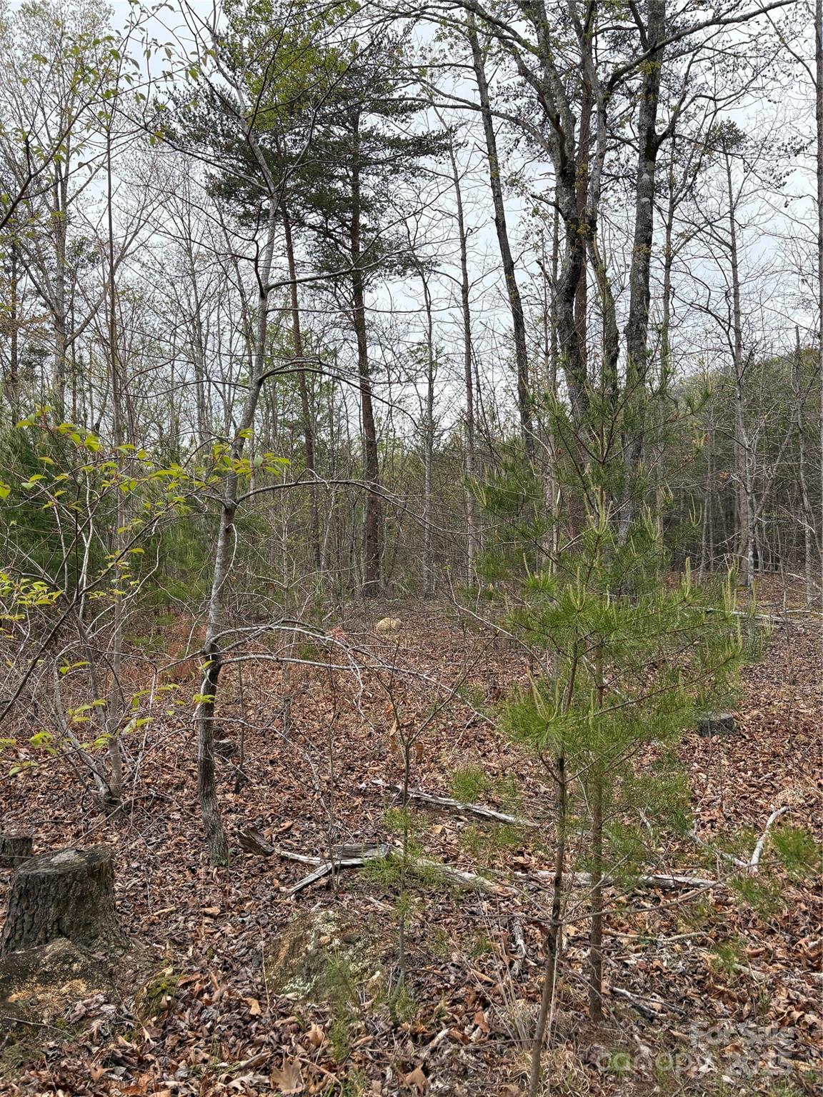 Acreage at 0 Rose Hollow Drive, Mill Spring, photo 5 of 8