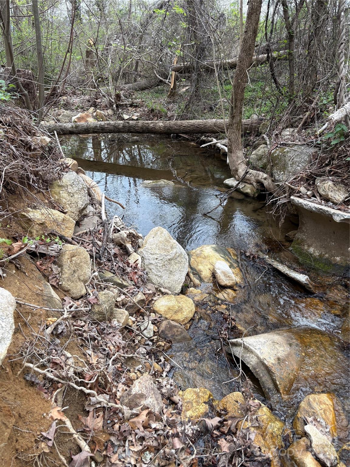 Acreage at 0 Rose Hollow Drive, Mill Spring, photo 8 of 8