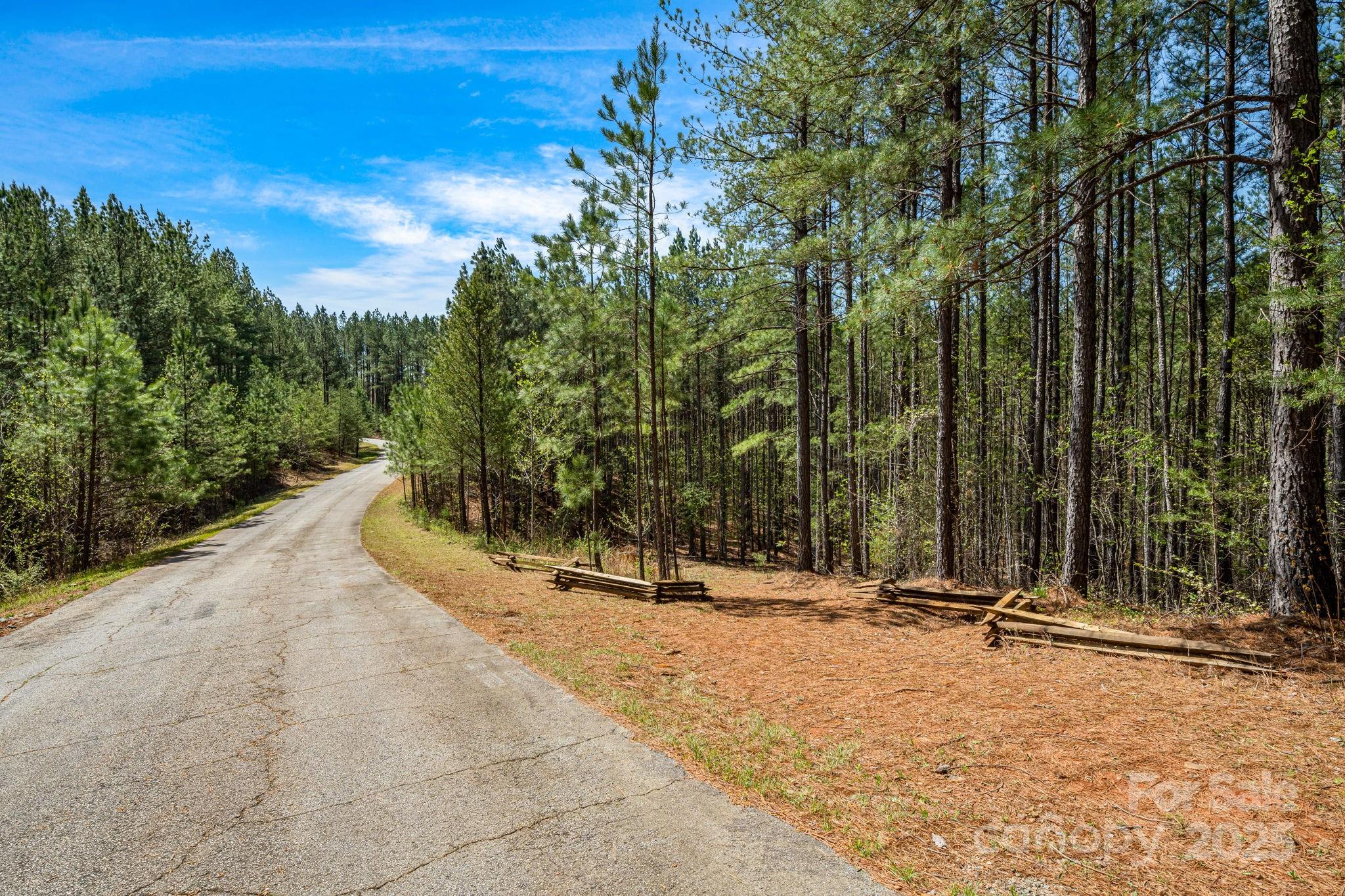 Street view from Sunset Drive. Gently sloping roughed in driveway leading down to the open lot. - 19 Sunset Drive, Mill Spring