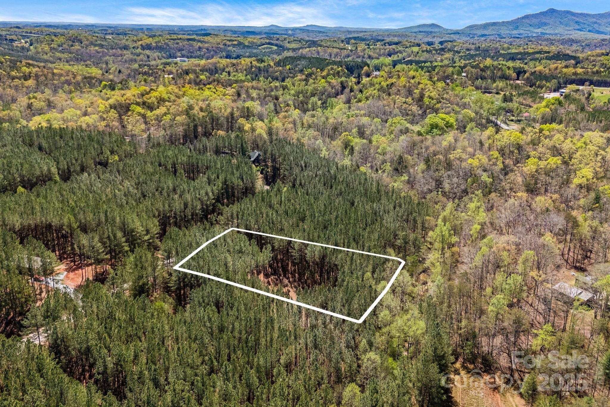 Aerial view- lot lines are approximate. - 19 Sunset Drive, Mill Spring