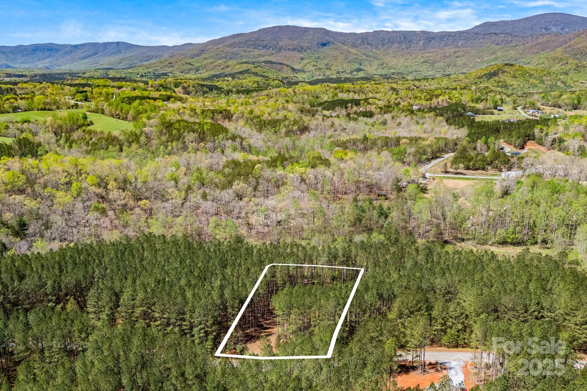 Aerial view- lot lines are approximate. - 19 Sunset Drive, Mill Spring
