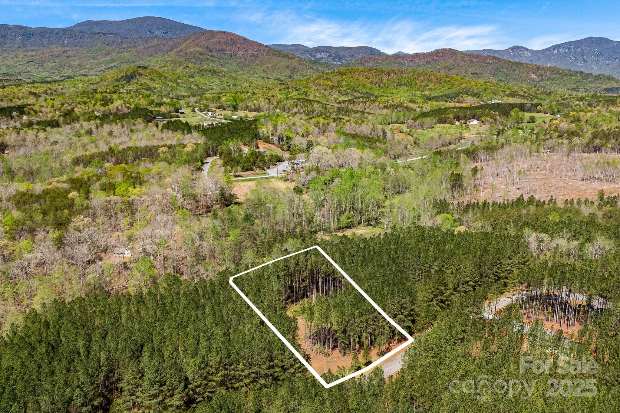 Aerial view- lot lines are approximate. - 19 Sunset Drive, Mill Spring