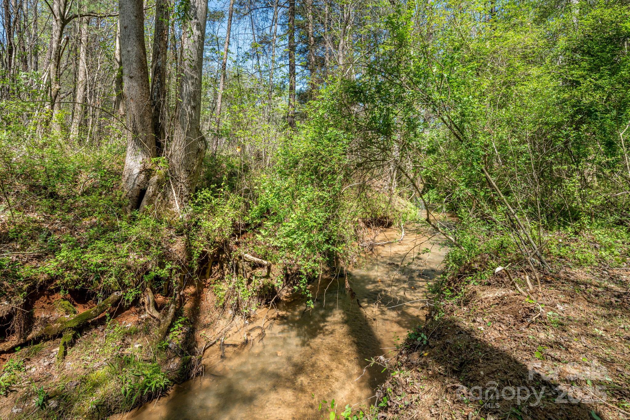 Creek bank at back of lot. - 19 Sunset Drive, Mill Spring