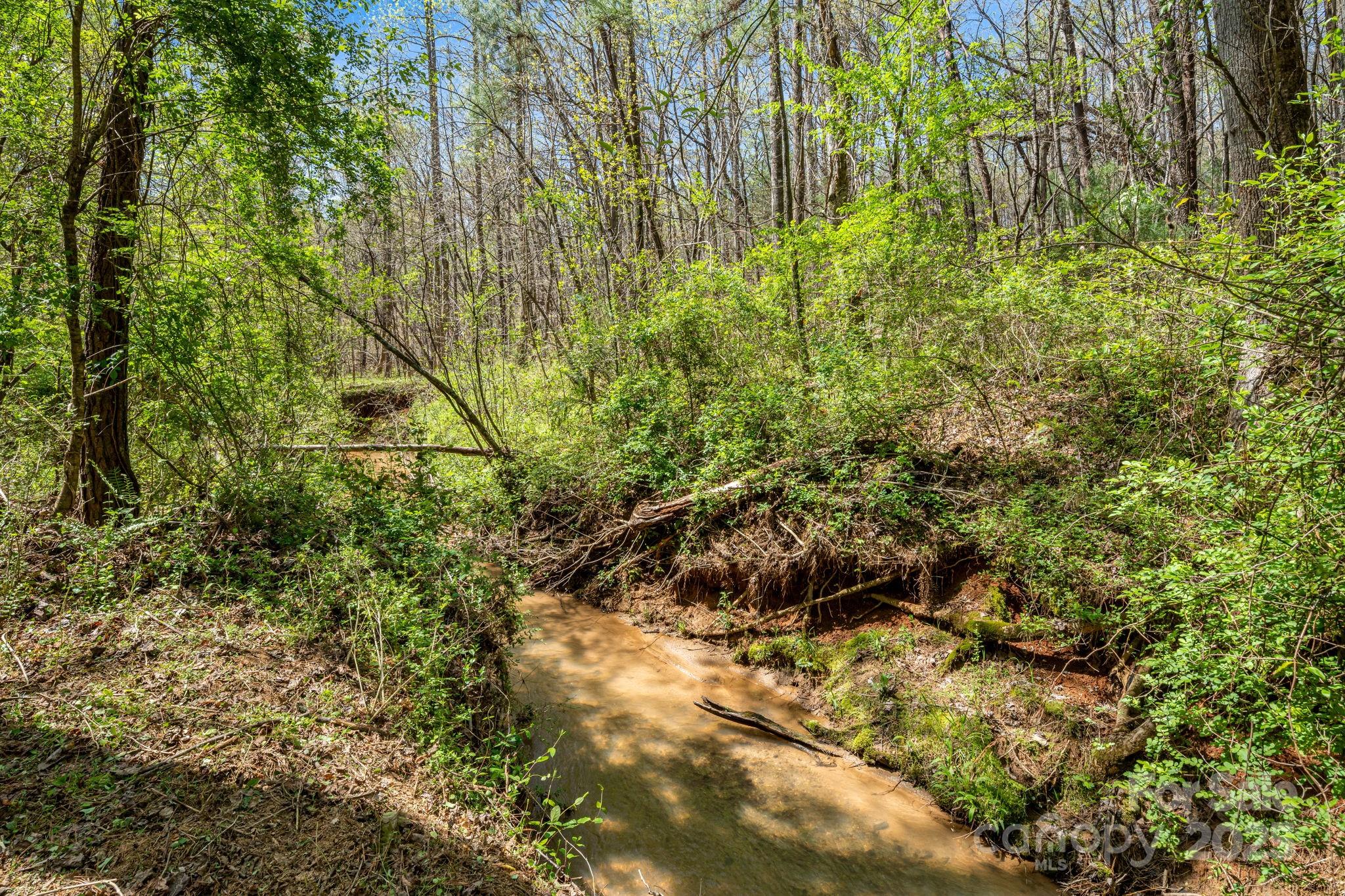 Creek/stream at back of lot. There are paths along the creek for exploring. - 19 Sunset Drive, Mill Spring