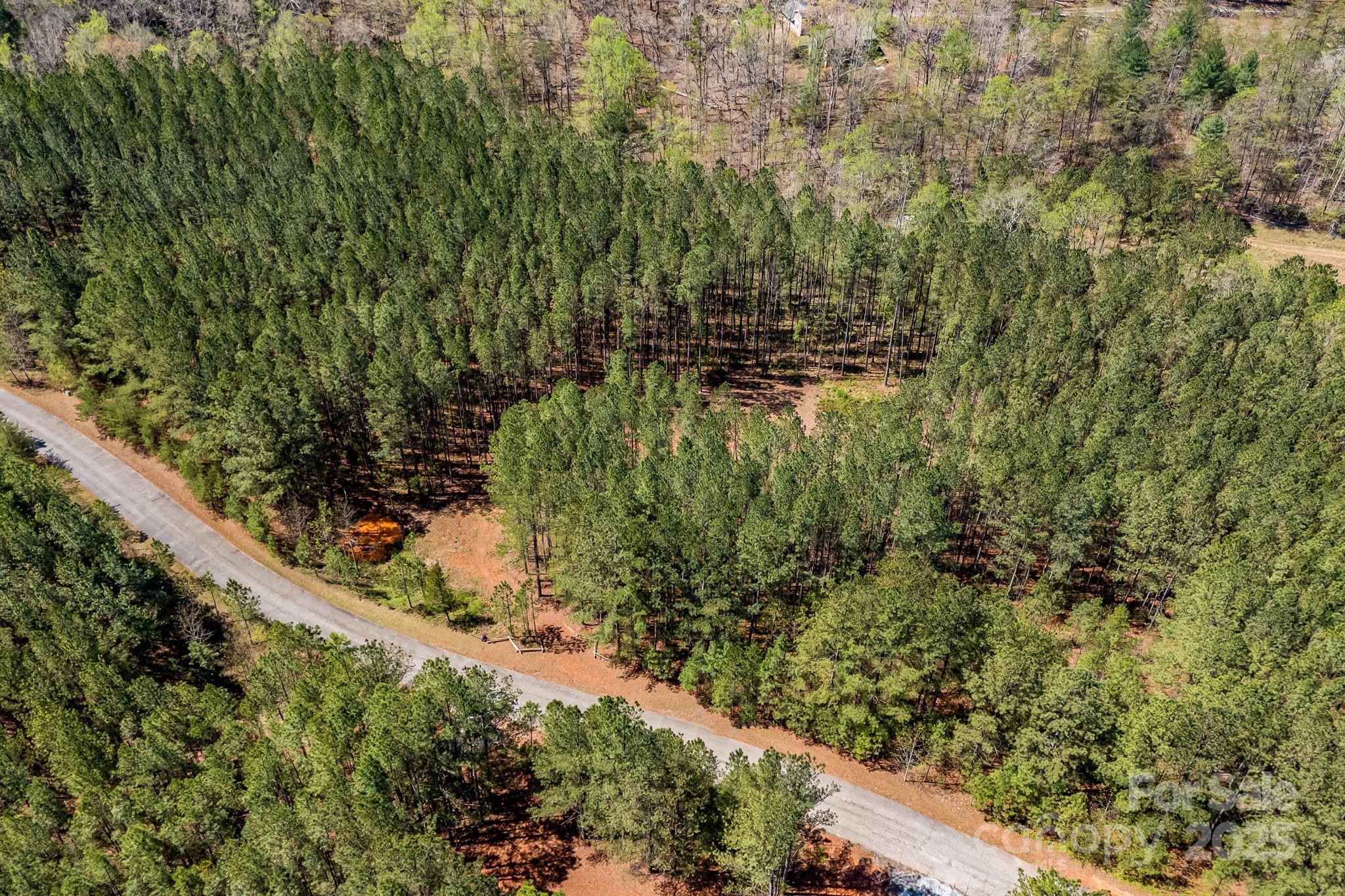 Aerial view. - 19 Sunset Drive, Mill Spring