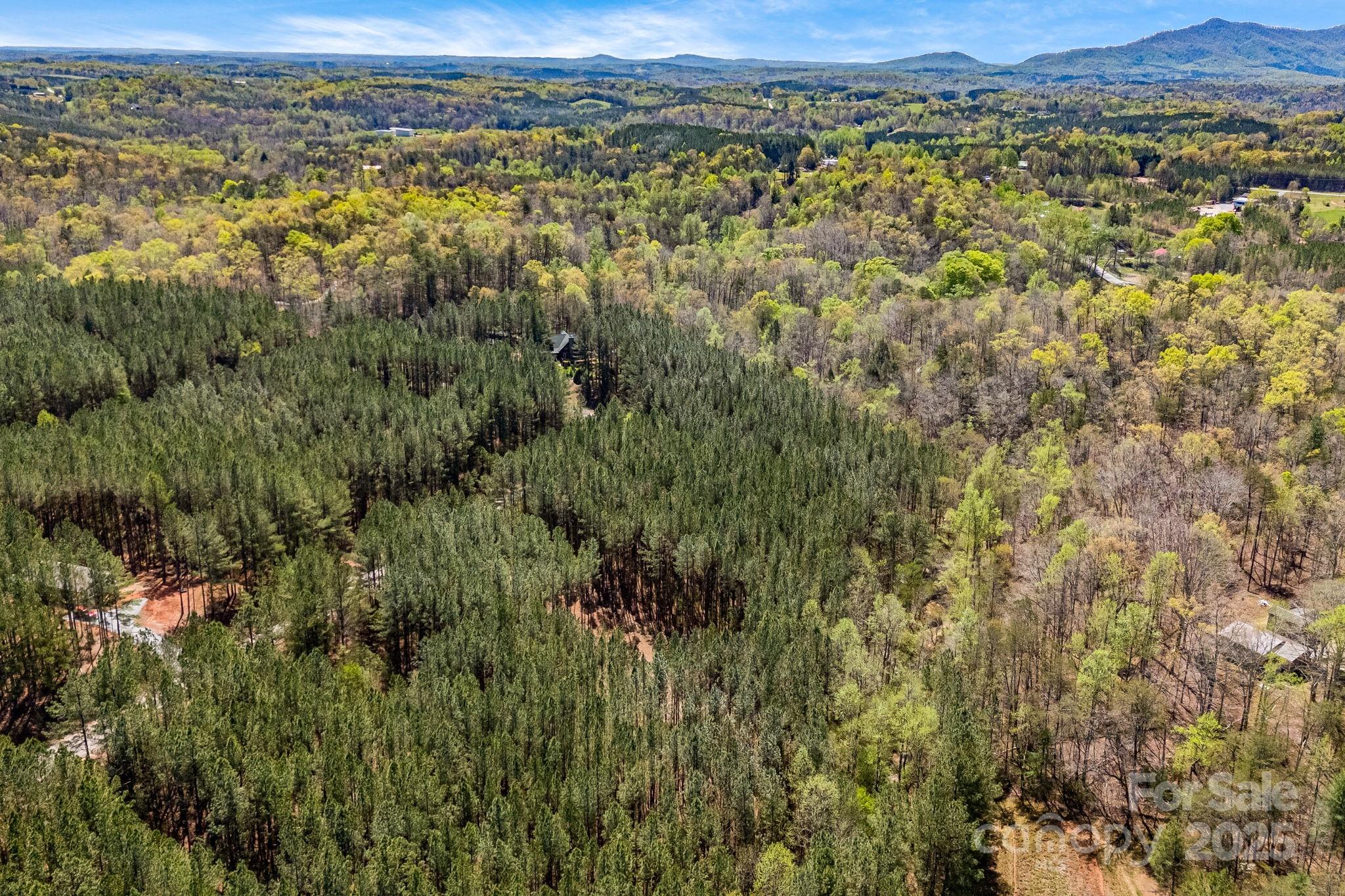 Aerial view. - 19 Sunset Drive, Mill Spring