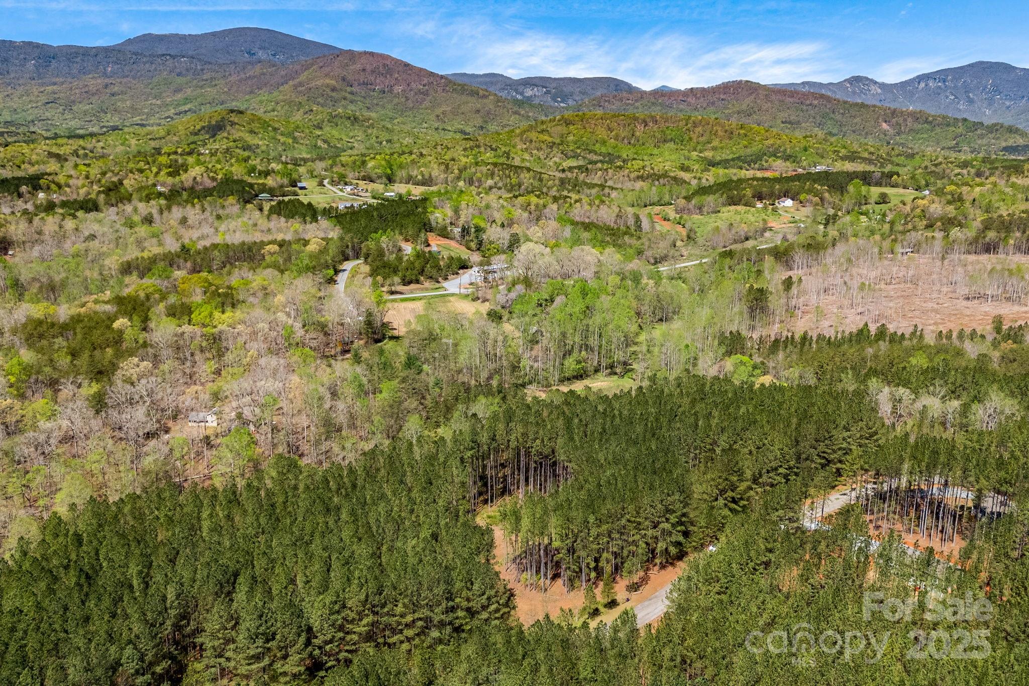 Aerial view. - 19 Sunset Drive, Mill Spring