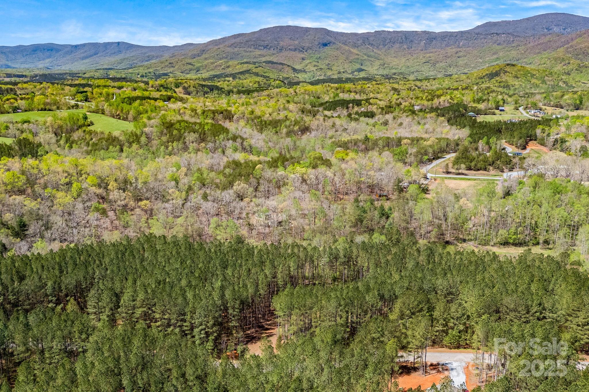 Aerial view. - 19 Sunset Drive, Mill Spring