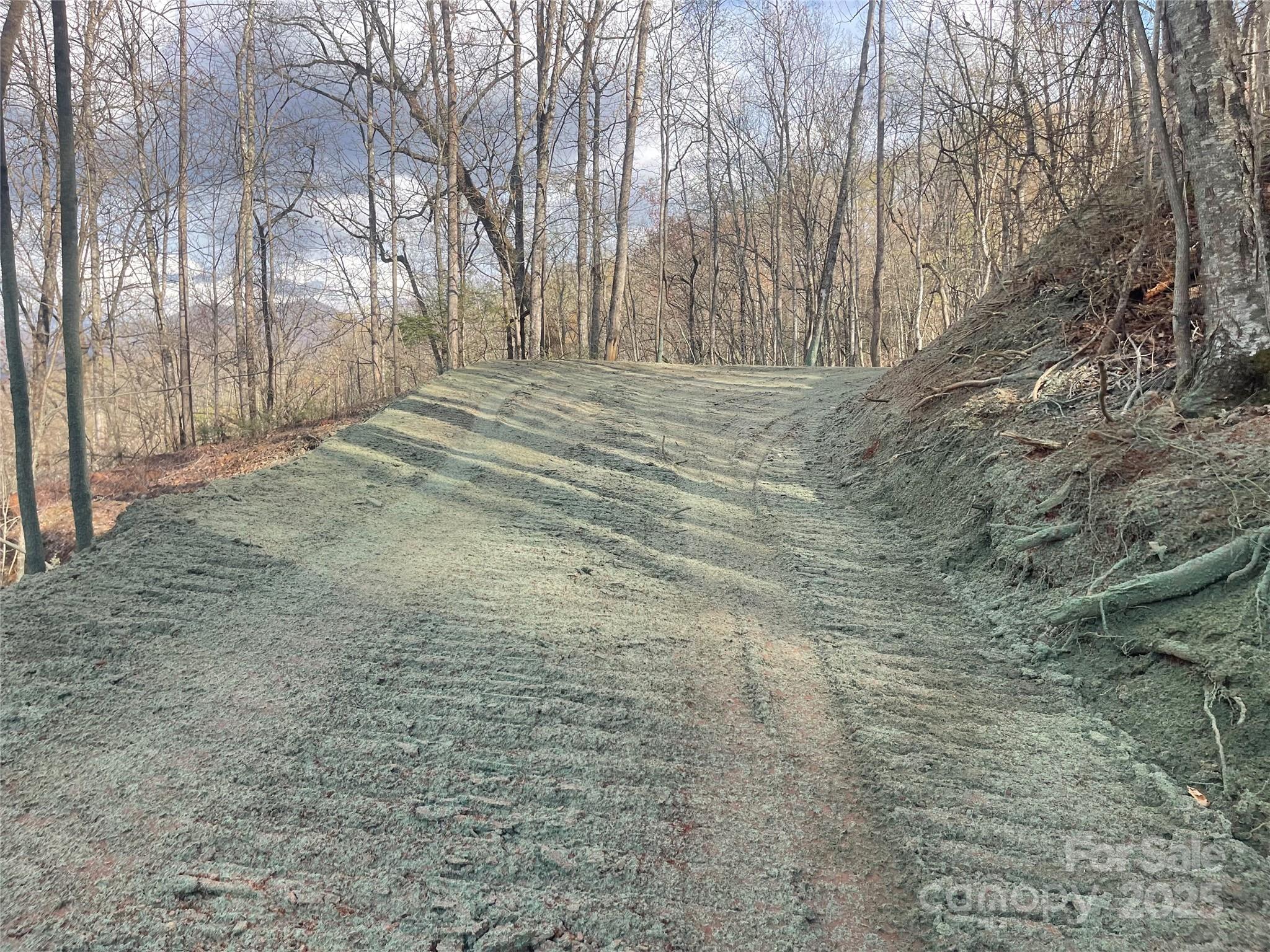 Acreage at 4 Copperhead Cove, Sylva, photo 19 of 28