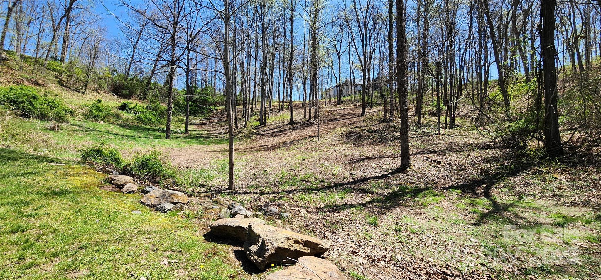 From the lower portion of the lot - 31 Sweet Fern Parkway, Asheville