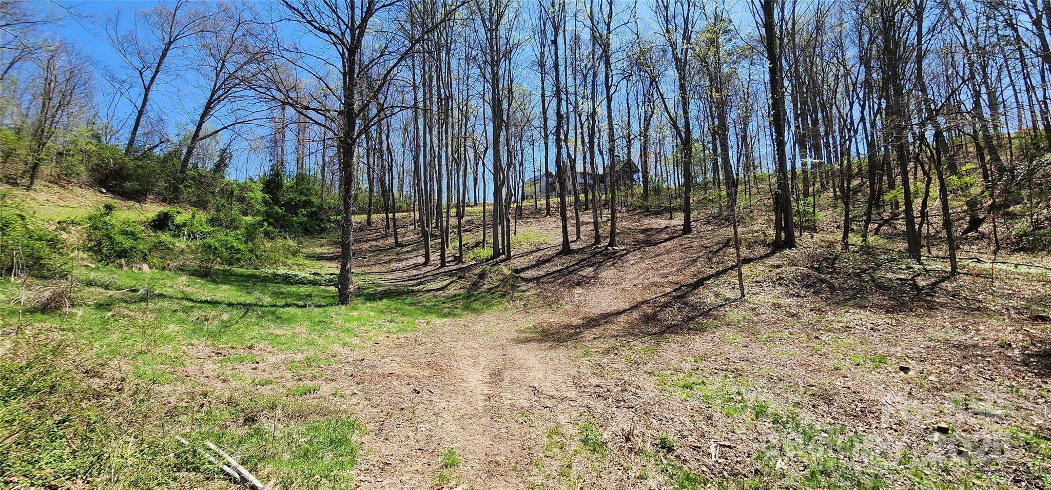 Lovely, gently-sloped land - 31 Sweet Fern Parkway, Asheville