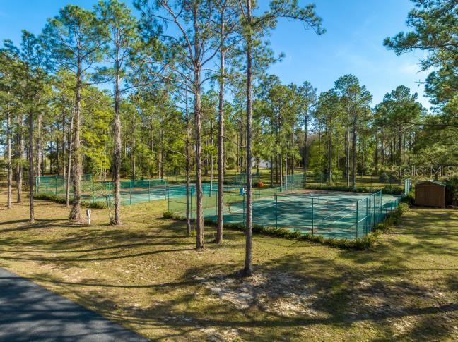 Community Tennis & Pickle Ball - 3117 BRIGHT LAKE CIR #lot 63, GROVELAND