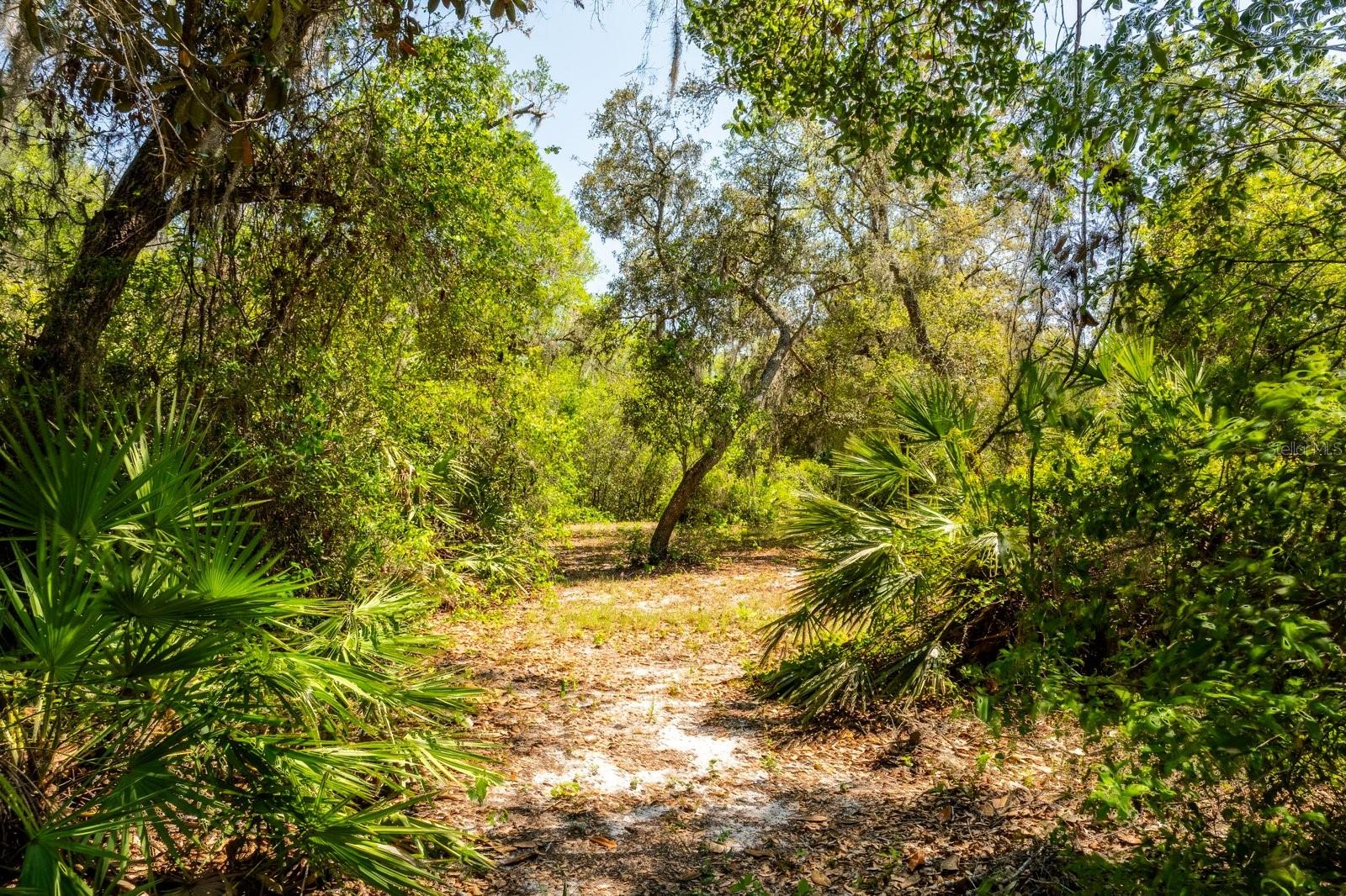 Land at 3117 BRIGHT LAKE CIR #lot 63, GROVELAND, photo 12 of 28