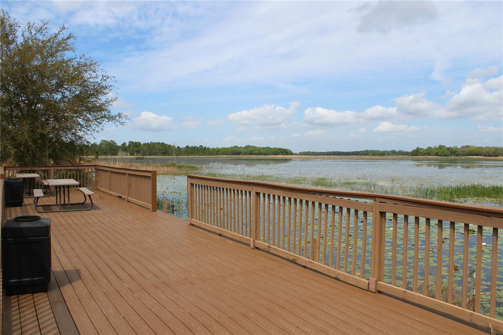 Community Dock - 3117 BRIGHT LAKE CIR #lot 63, GROVELAND