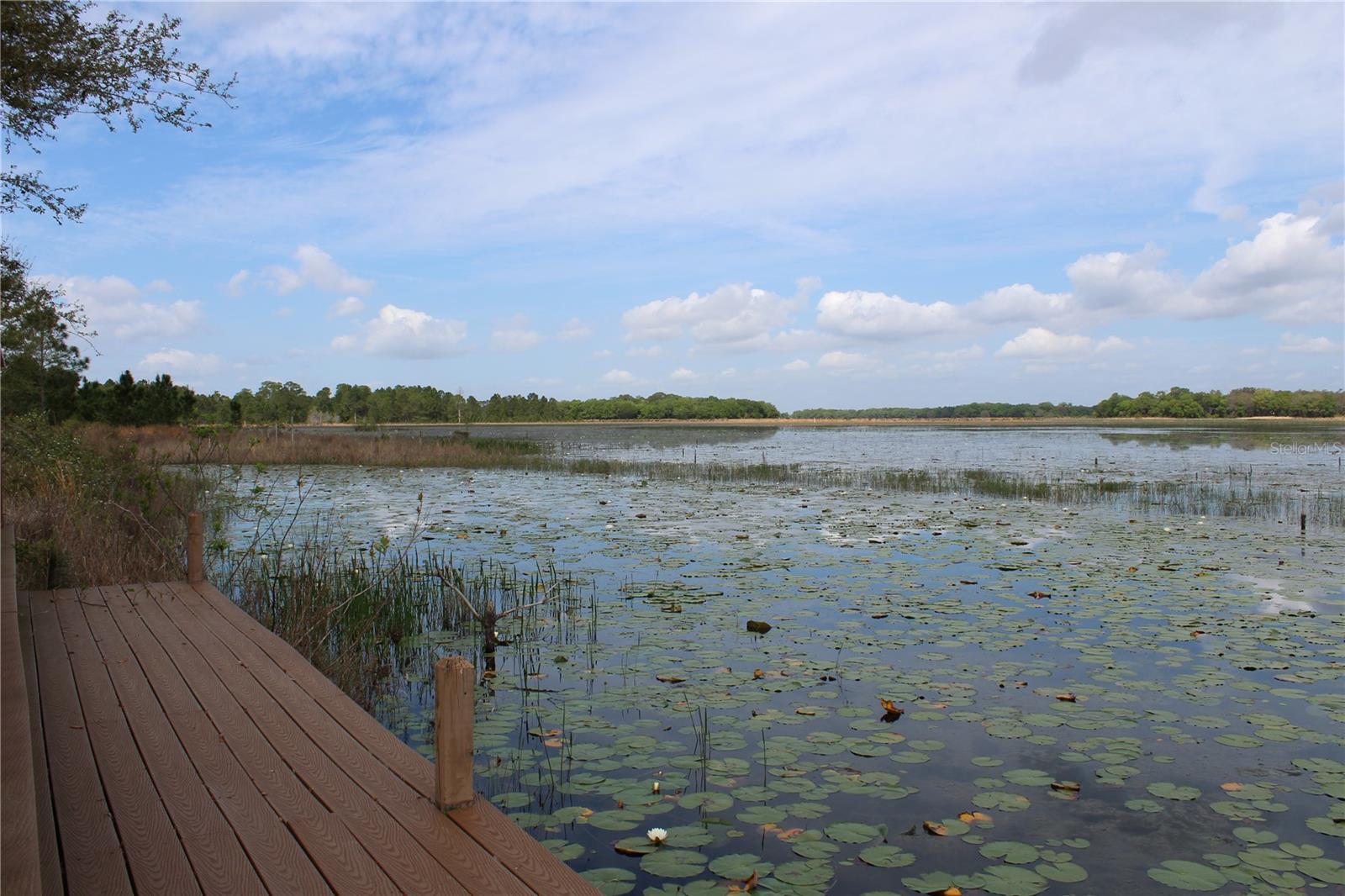 Community Lake Area - 3117 BRIGHT LAKE CIR #lot 63, GROVELAND