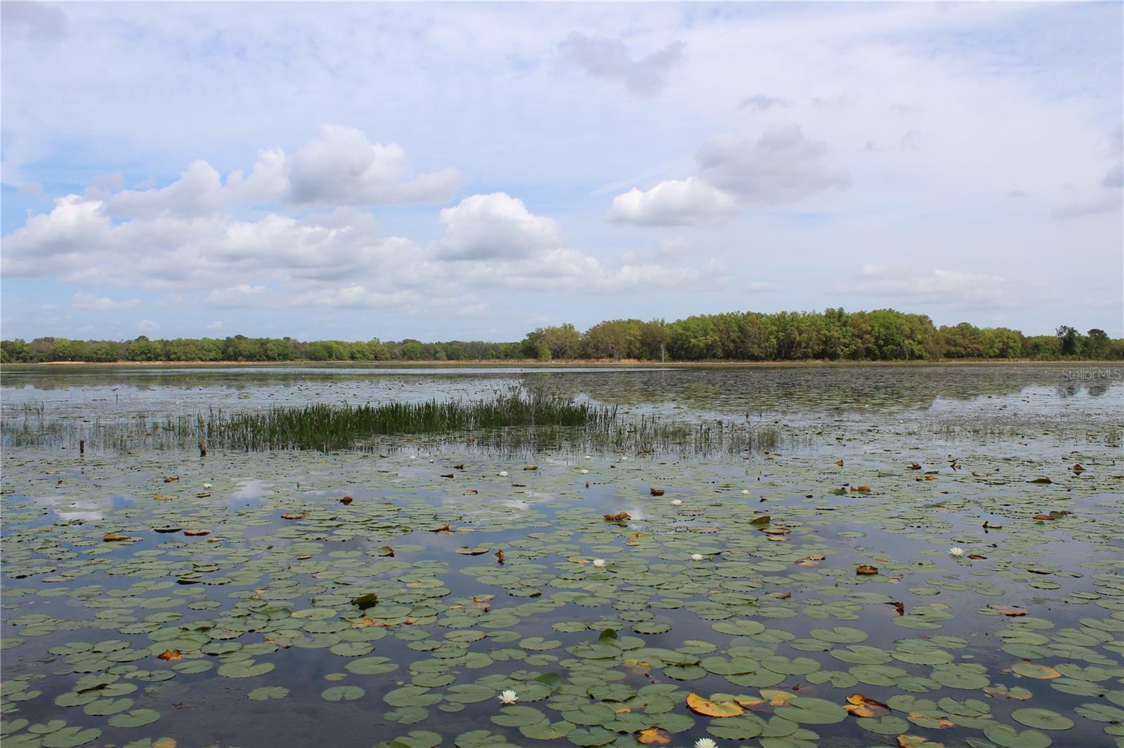 Clearwater Lake - 3117 BRIGHT LAKE CIR #lot 63, GROVELAND