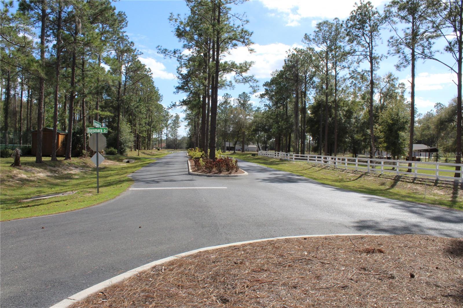 Bonsmara drive at Community enterance - 3117 BRIGHT LAKE CIR #lot 63, GROVELAND