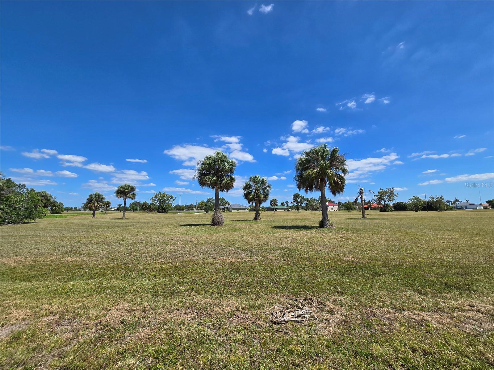 Land at 16284 JUAREZ CT, PUNTA GORDA, photo 2 of 12