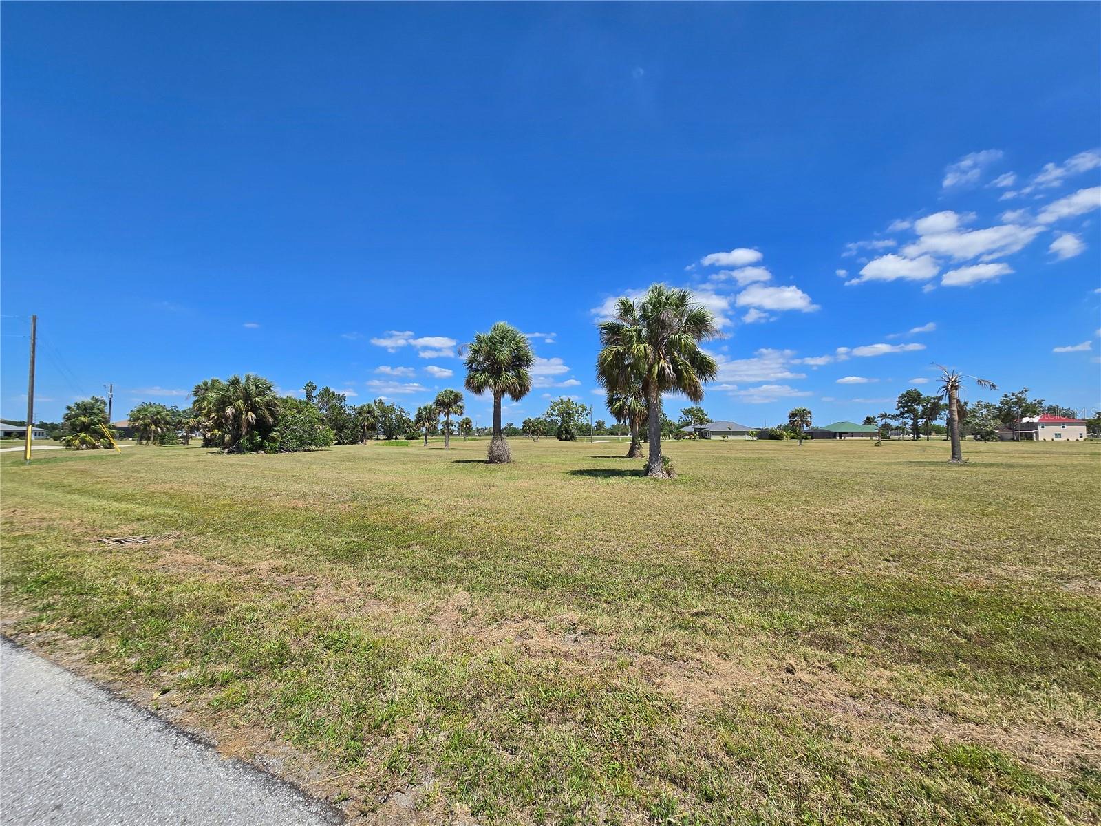 Land at 16284 JUAREZ CT, PUNTA GORDA, photo 3 of 12