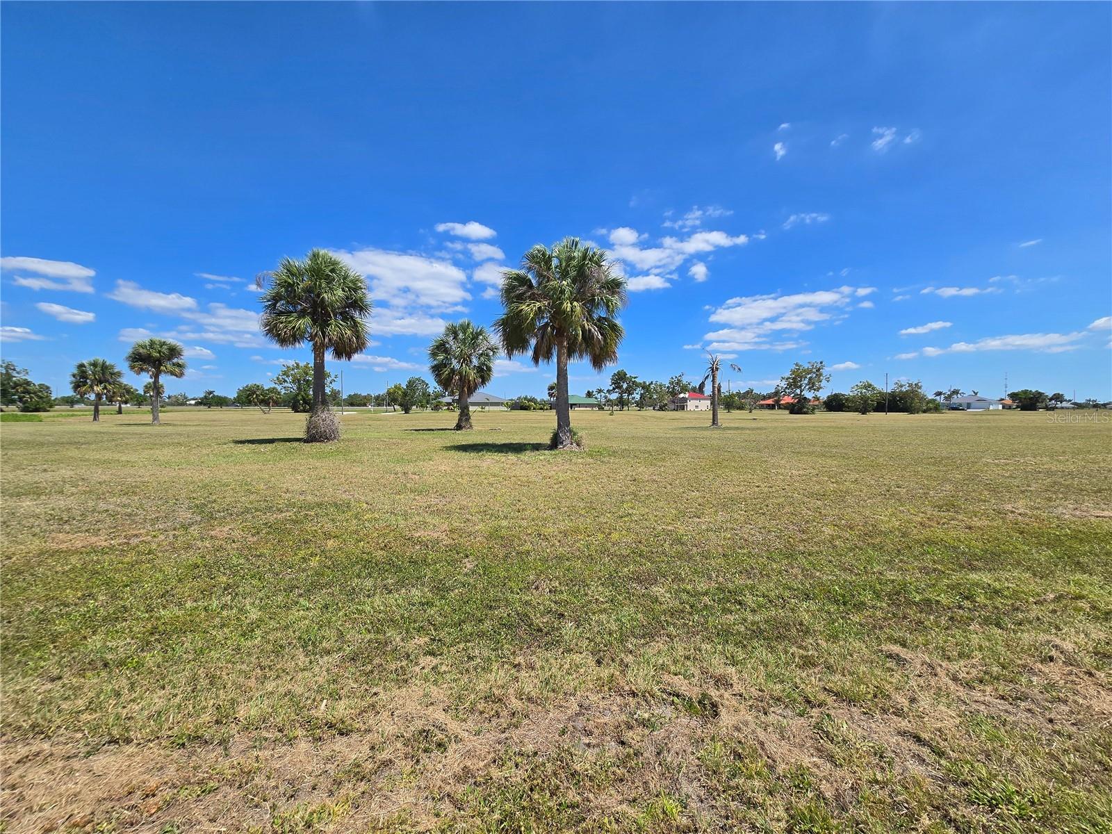 Land at 16284 JUAREZ CT, PUNTA GORDA, photo 4 of 12