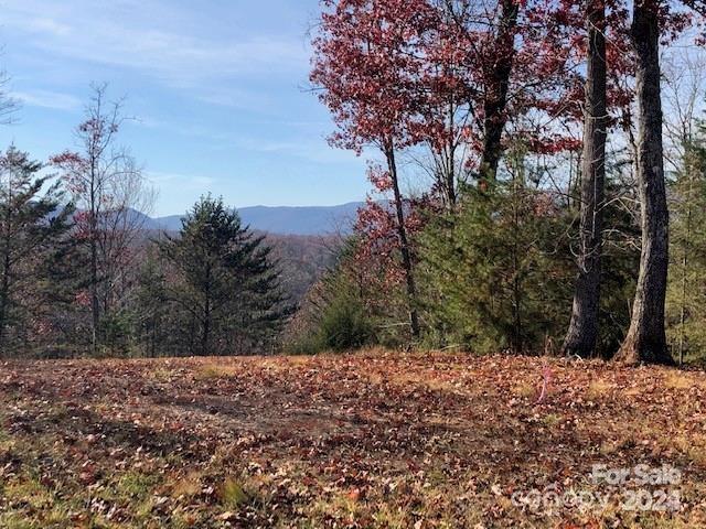 30 Mountain Parkway