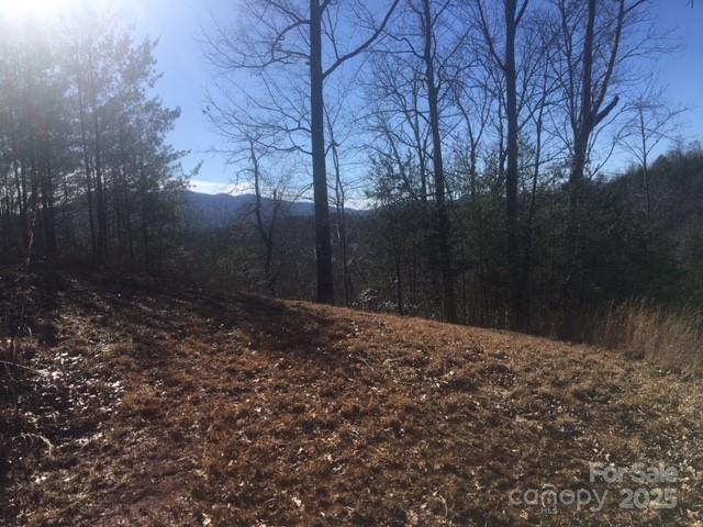 Lot at 30 Mountain Parkway, Mill Spring, photo 2 of 7