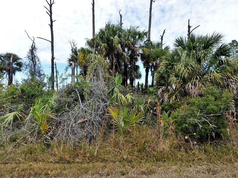 Land at EWEN DR, NORTH PORT, photo 2 of 5