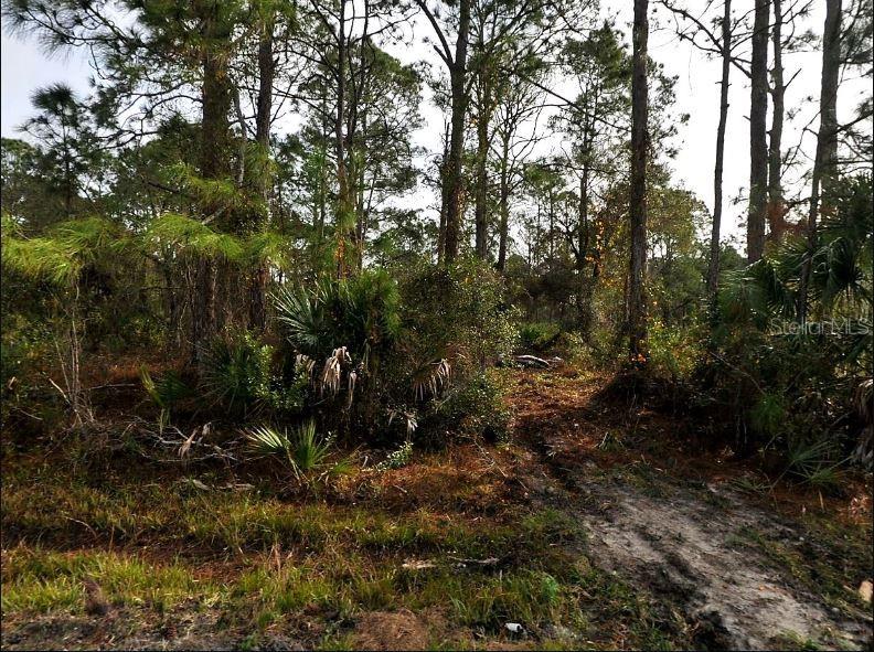 Land at STARFISH AVE, NORTH PORT, photo 2 of 7
