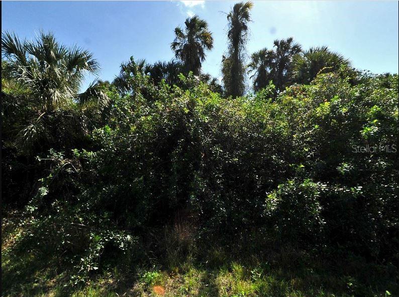 Land at NEWMAN DR, NORTH PORT, photo 2 of 5