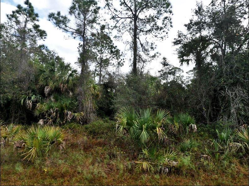 Land at IRONSIDE ST, NORTH PORT, photo 2 of 6