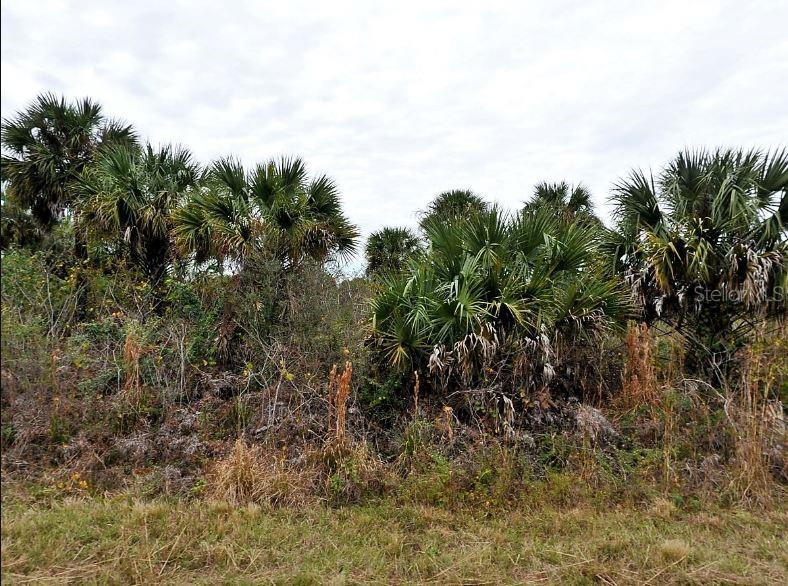 Land at E FIVELEAF DR,, NORTH PORT, photo 2 of 5
