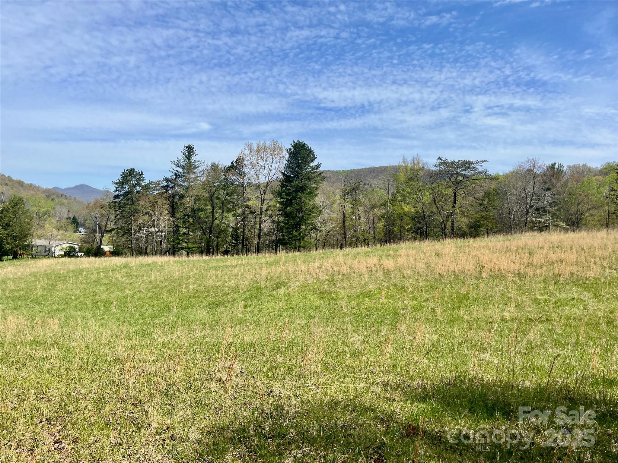 Acreage at 99999 Lollis Road, Candler, photo 2 of 18