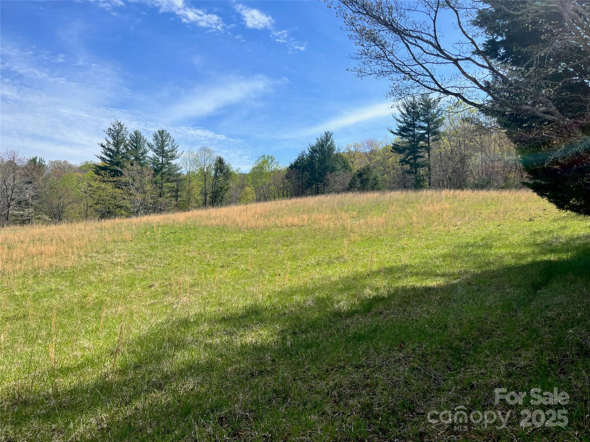 Acreage at 99999 Lollis Road, Candler, photo 3 of 18
