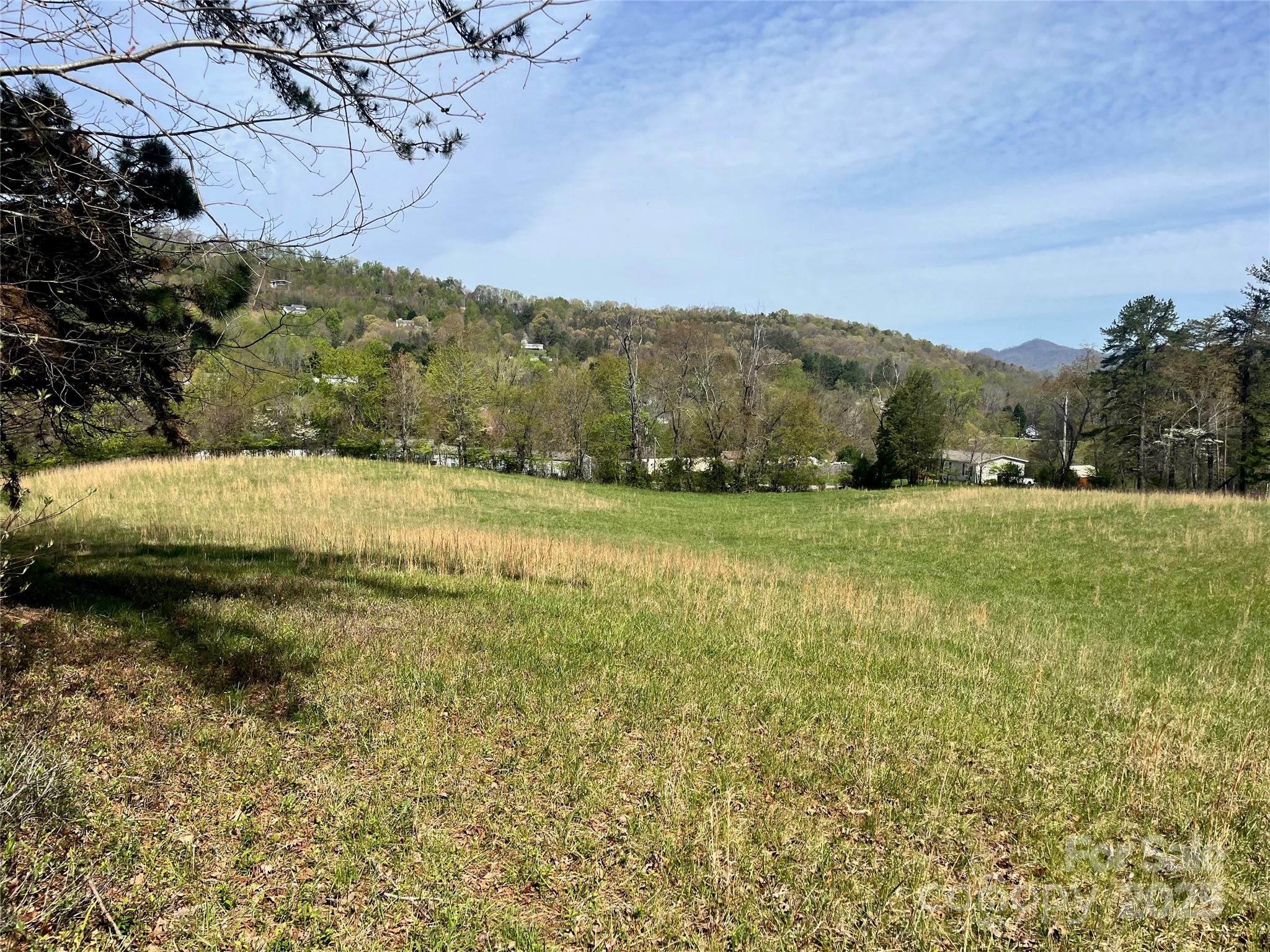 Acreage at 99999 Lollis Road, Candler, photo 4 of 18