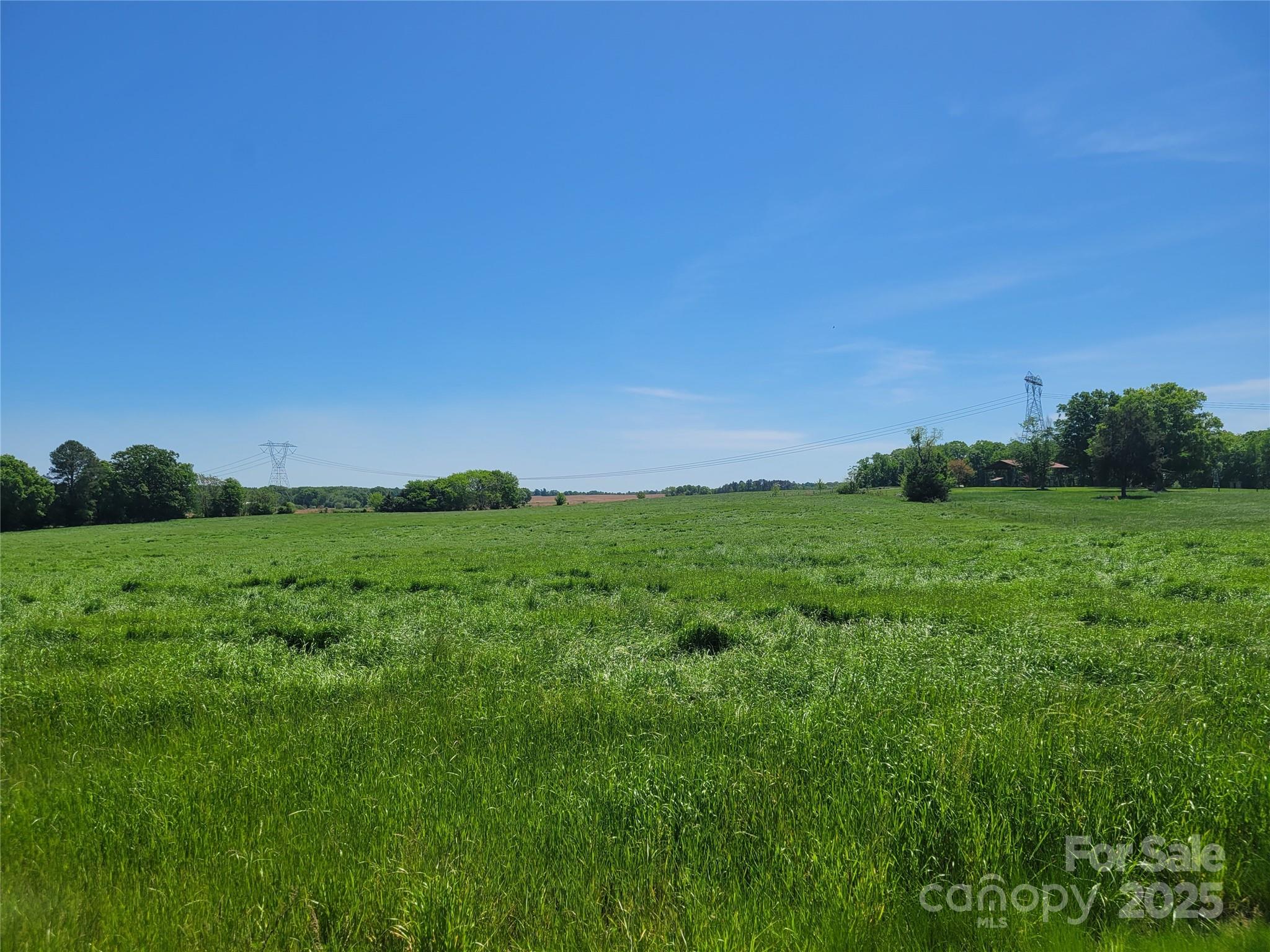 Farm at 000 Bruce Thomas Road, Monroe