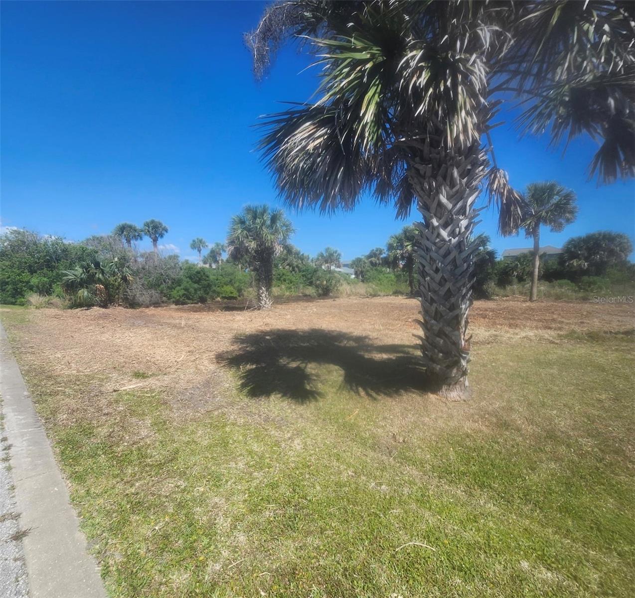 Land at 24 MAHOE DR S, PALM COAST, photo 7 of 30
