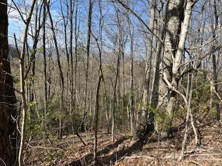 Lot at 00 Buckeye Drive, Waynesville, photo 10 of 13