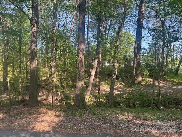 Lot at 64 Heavenly Drive, Statesville, photo 2 of 3
