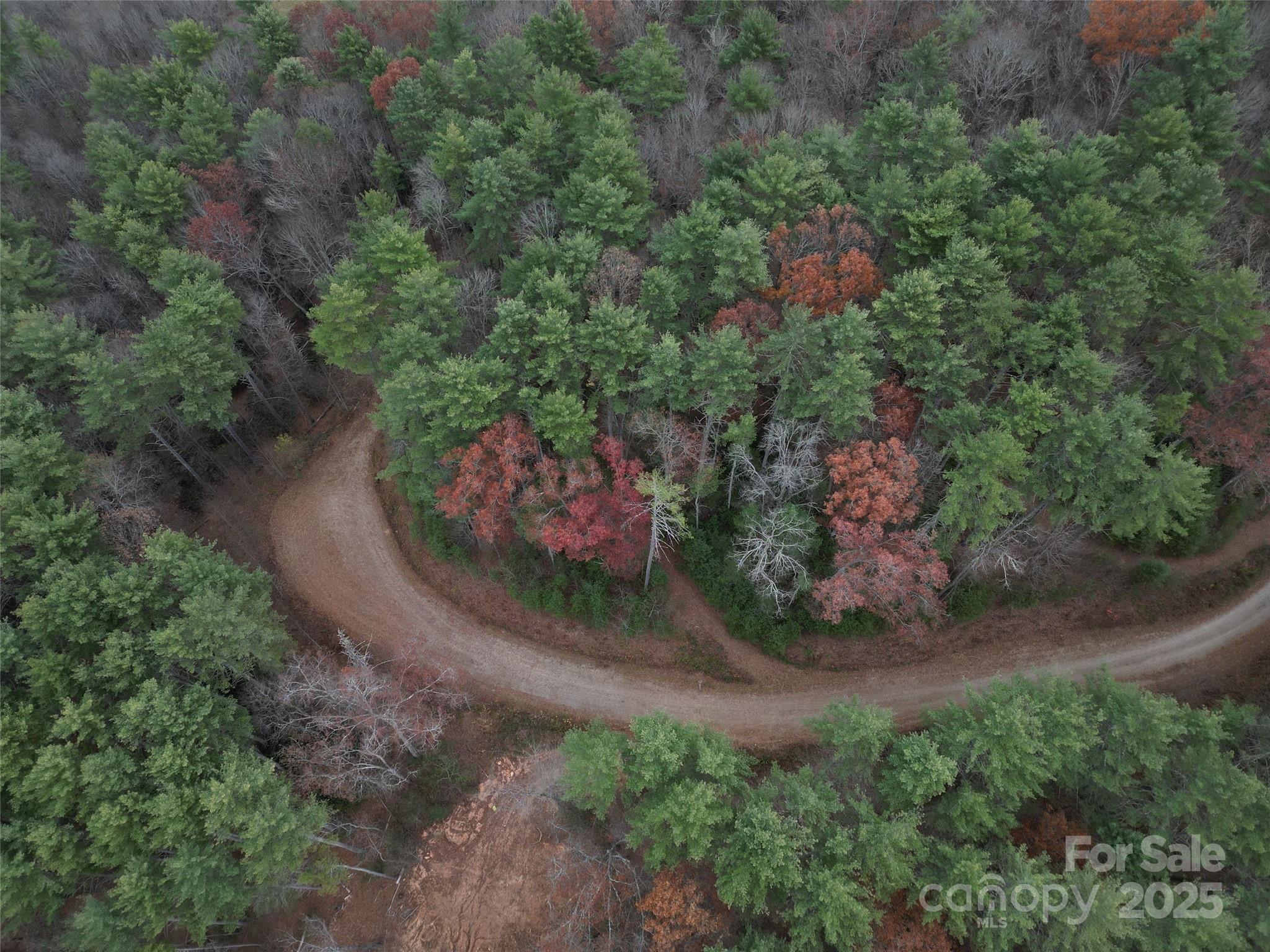 13 Wildlife Drive