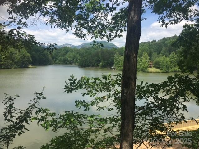 small lake - 0 Woodcock Avenue, Lake Lure