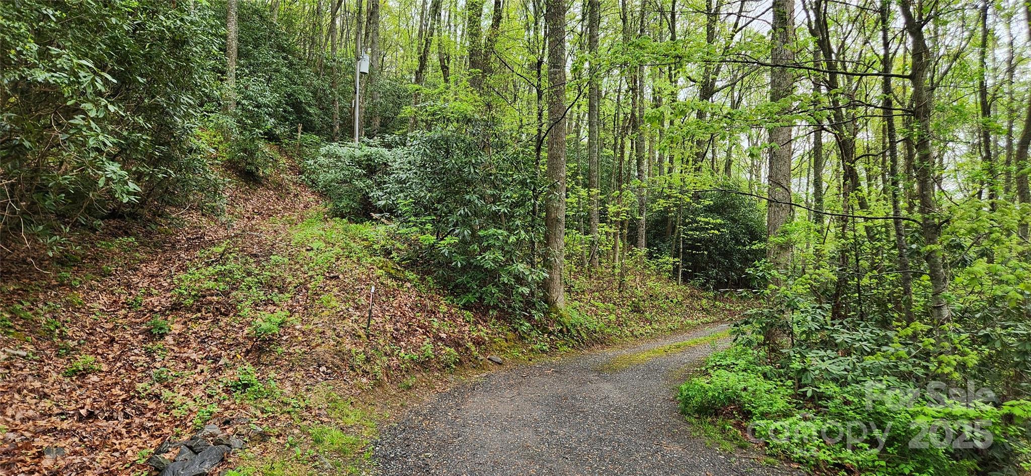 Lot at 99999 Atherton Way, Asheville, photo 2 of 4