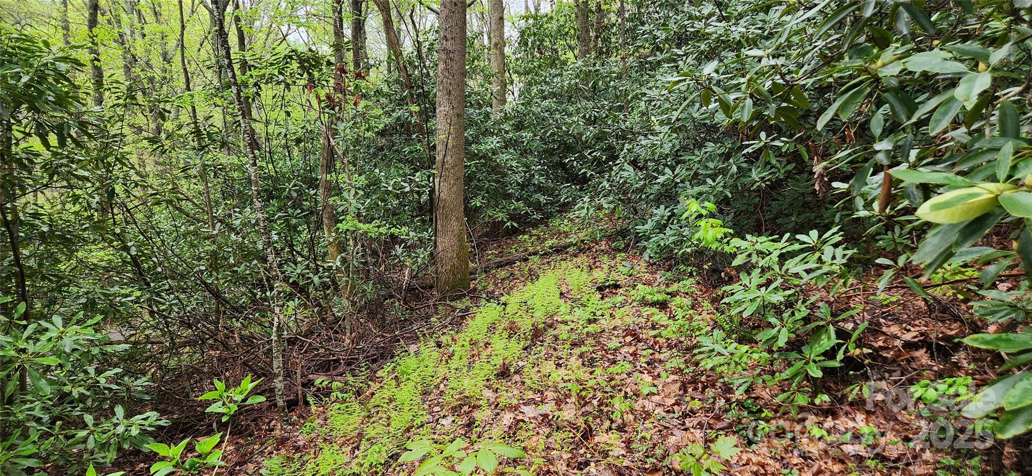 Lot at 99999 Atherton Way, Asheville, photo 4 of 4