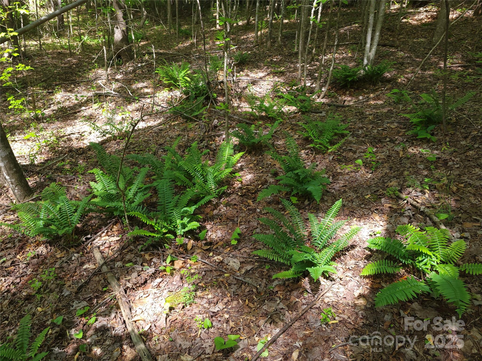 Lot at 000 Skylark Lane, Tryon, photo 16 of 16
