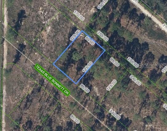 6139 TEXAS BLUE BONNETT DR