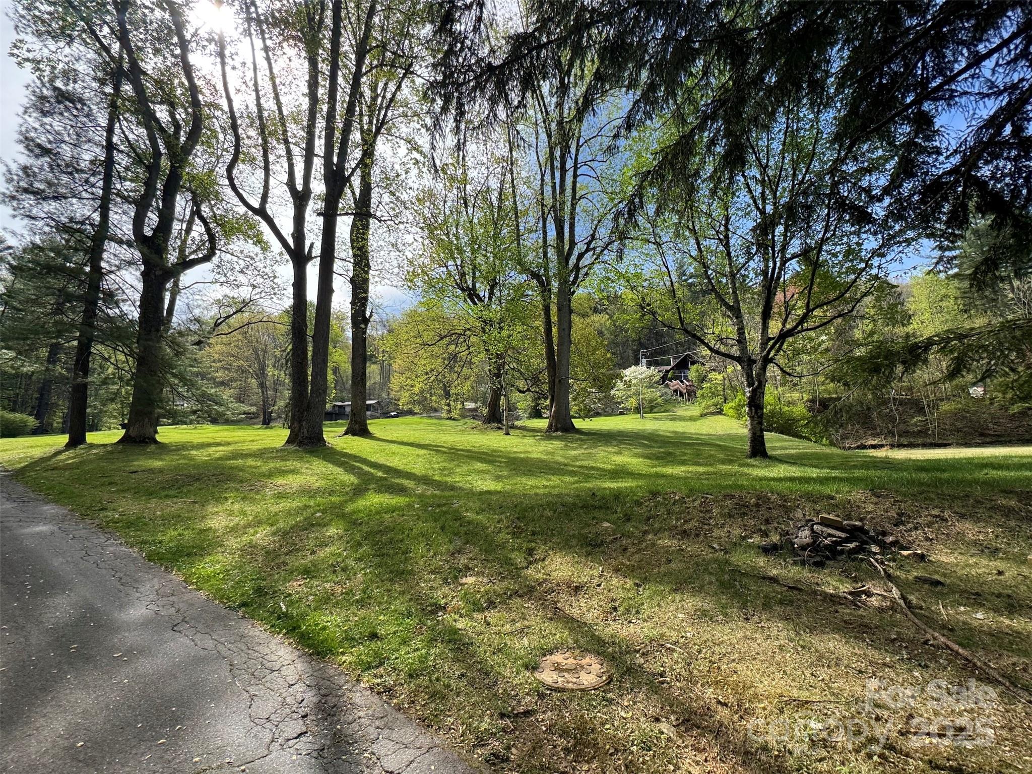 Meadow and trees - TBD (A) Chestnut Walk Drive, Waynesville
